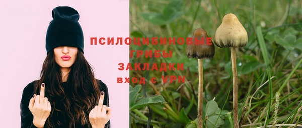 бошки Приозерск