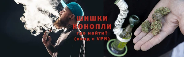 ПСИЛОЦИБИНОВЫЕ ГРИБЫ Покров