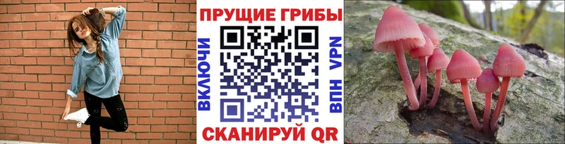 Галлюциногенные грибы Psilocybine cubensis  Купить закладки  Красногорск 