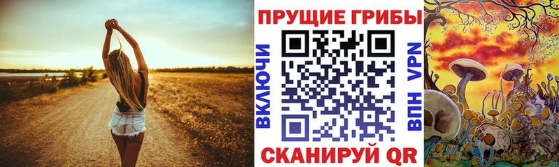 Галлюциногенные грибы Magic Shrooms Красногорск